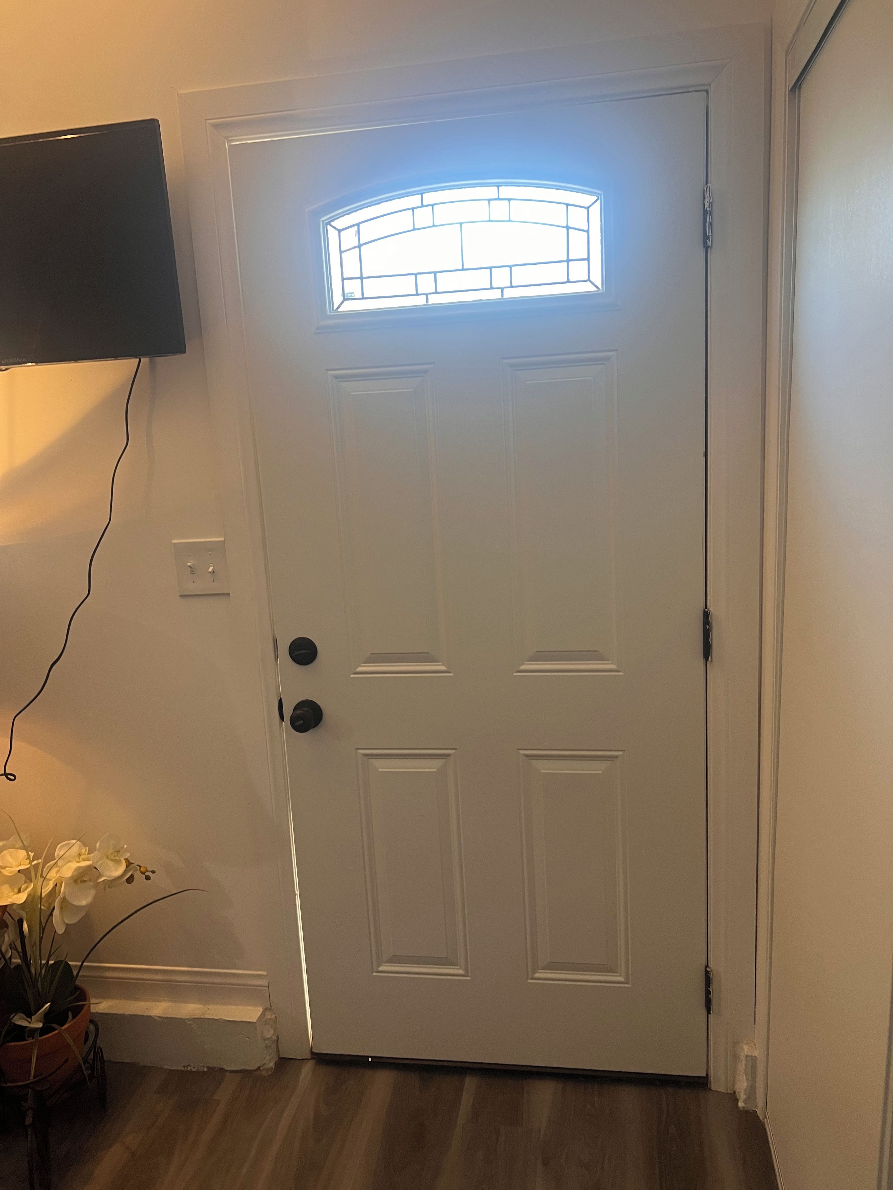 A white door with a glass panel above it, a wall-mounted television, and a potted plant with white flowers.