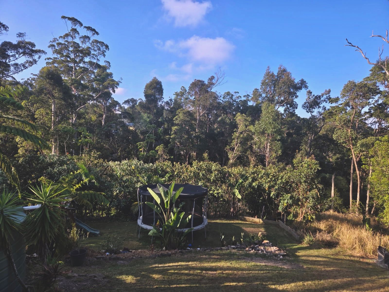 A lush garden with a variety of trees and plants, a small structure, and a clear blue sky.