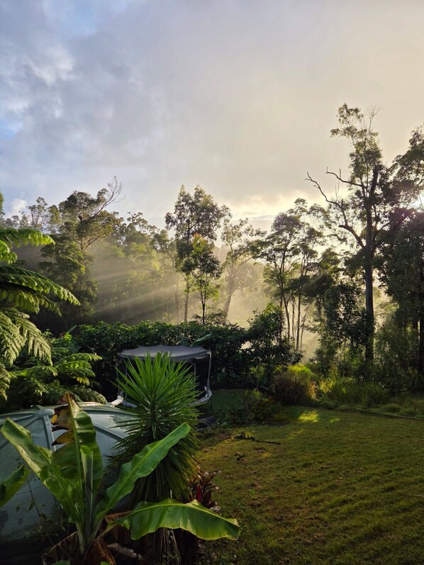 Un jardín exuberante con diversas especies de árboles y plantas, un pequeño estanque y un pabellón.