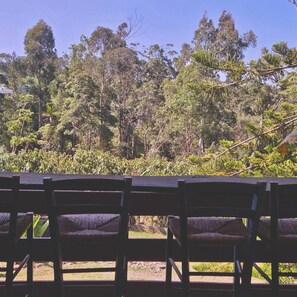 Vista desde una veranda con sillas de madera, con vistas a un bosque denso de diversos árboles y arbustos.