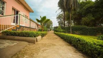 A pathway leading to a building with a pink facade, surrounded by well-maintained greenery and a palm tree.
