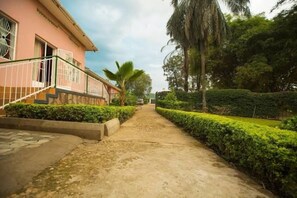 Un sendero conduce a un edificio de fachada rosa, rodeado de follaje cuidado y una palmera.