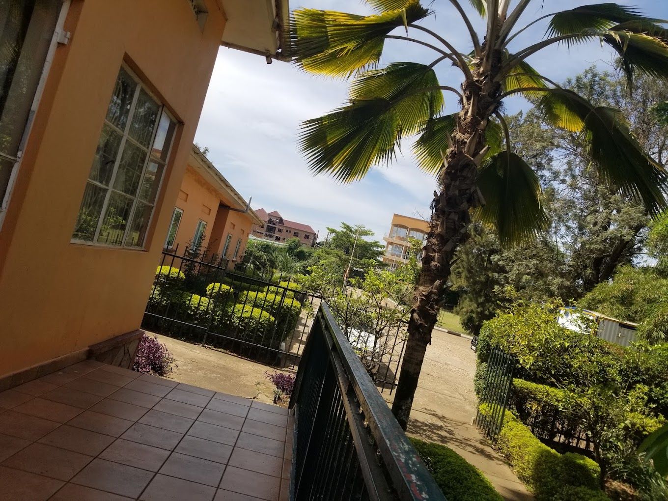 A residential area with a tiled balcony, a palm tree, and a view of neighboring buildings.