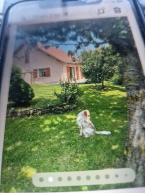 A smartphone displaying a photo of a house with a lawn and a dog. - New Listing (Aubessagne)