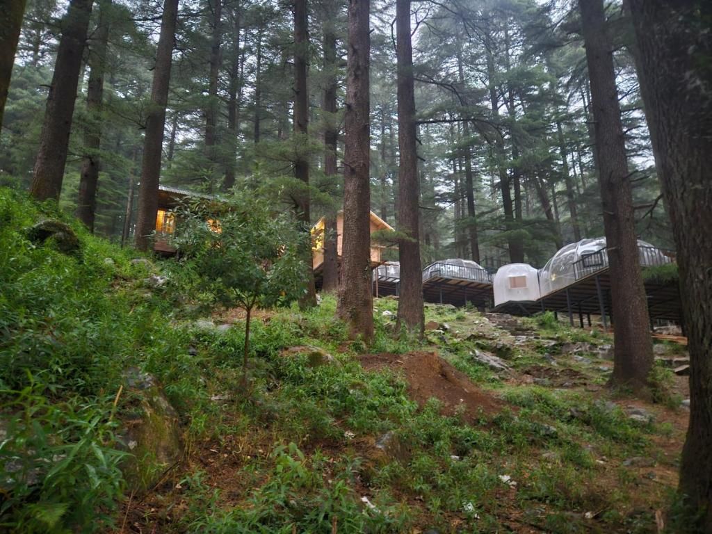 Una zona boscosa amb una petita cabana i un passadís cobert.