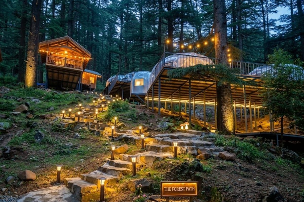 Un sendero en el bosque que conduce a casas en los árboles con iluminación exterior.