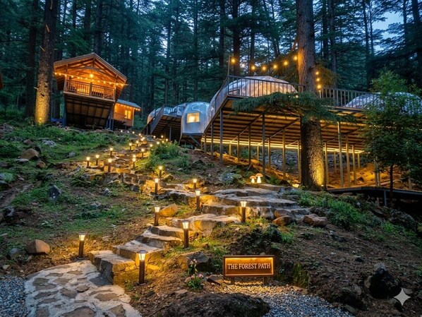 A forest path leading to treehouses with outdoor lighting. - the log hut dharamkot (Dharamshala)