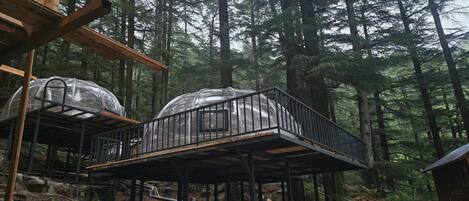 A cabin with a wooden deck and a glass-enclosed structure, surrounded by a forest.