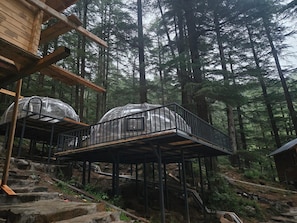 A cabin with a wooden deck and a glass-enclosed structure, surrounded by a forest.