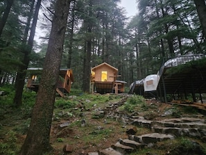 Una cabaña en un bosque con una escalera de piedra que lleva hasta ella.