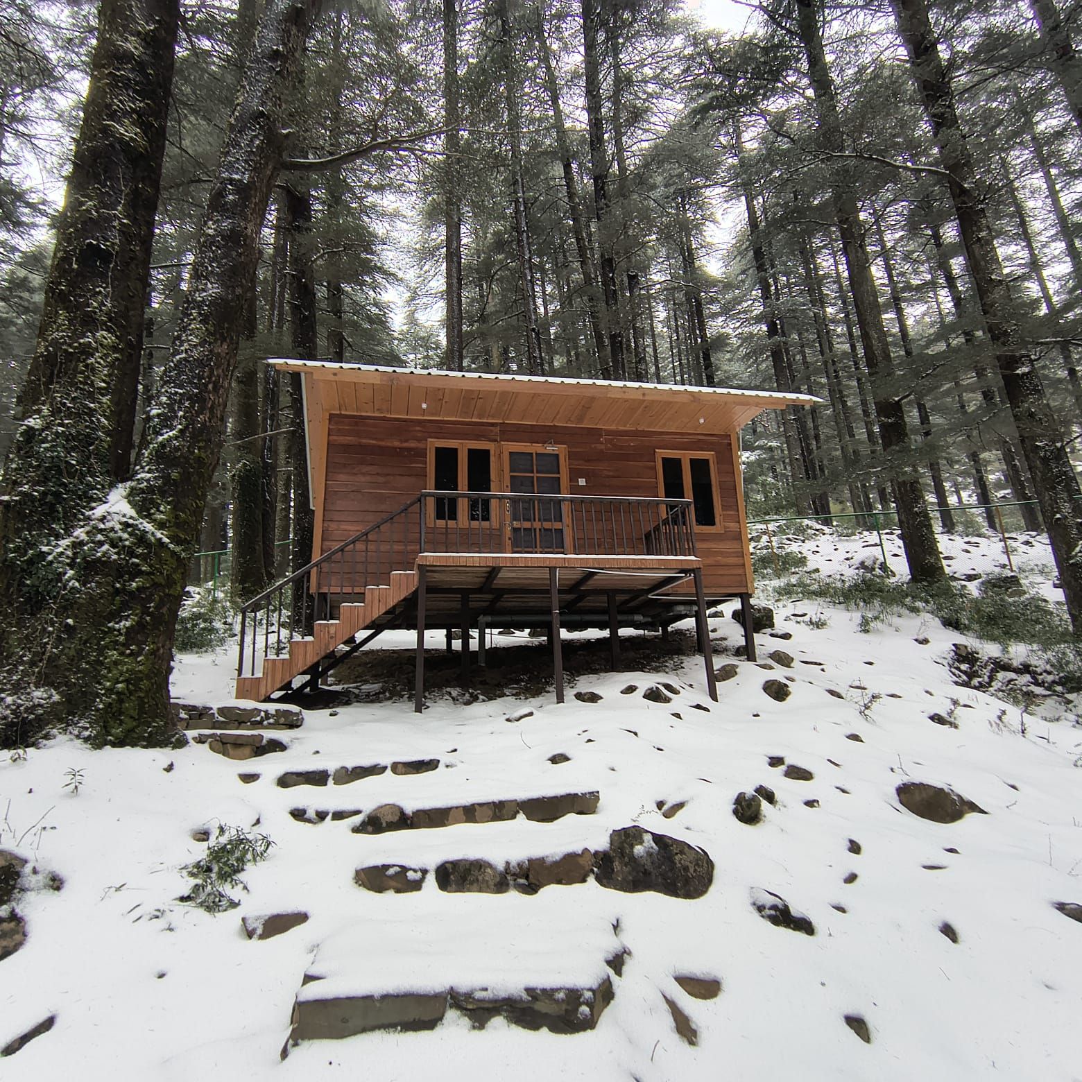 Una cabana de fusta amb una escala cap a una terrassa, envoltada per un bosc cobert de neu.