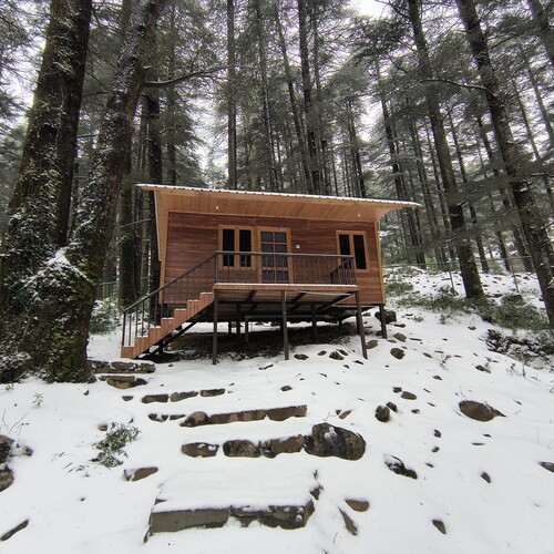the log hut dharamkot
