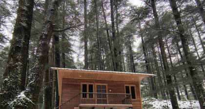 the log hut dharamkot