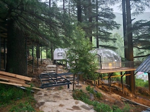 A forested area with a transparent dome structure, wooden steps, and a metal railing. - the log hut dharamkot (Dharamshala)