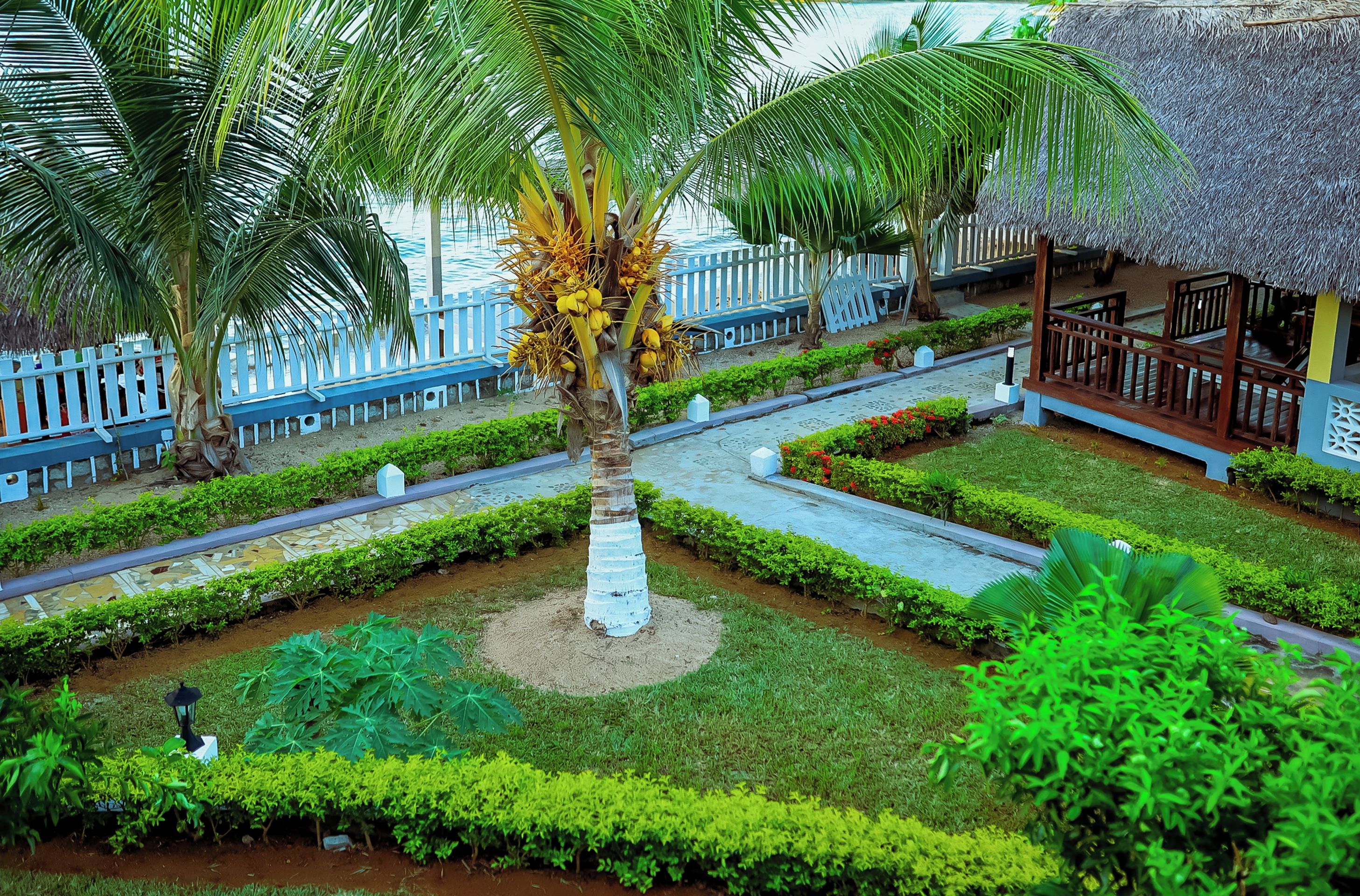 Un resort tropical con una palmera, una estructura de techo de paja y una cerca blanca.