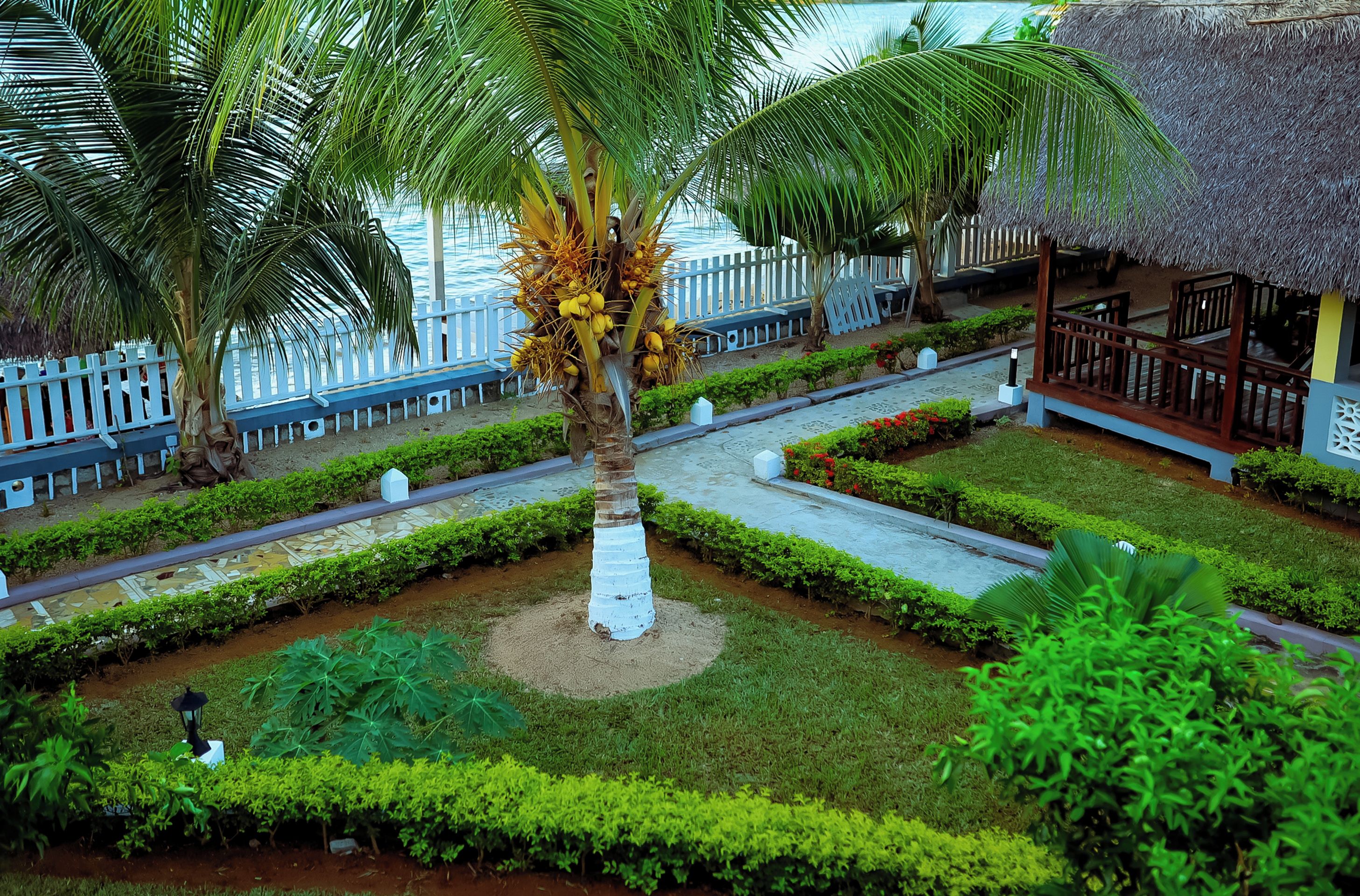 Un complexe hôtelier tropical avec un palmier, une structure à toit de chaume et une clôture blanche.