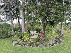 A garden with a seating area and a variety of plants.