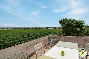 An outdoor terrace with a table and chairs, overlooking a vineyard. - New Listing (La Roche-de-Glun)
