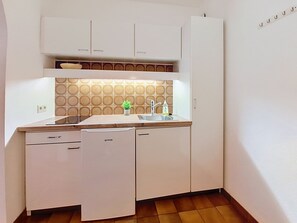 A compact kitchen with white cabinets, a sink, and a dishwasher. - Alpenrose by Interhome (Sankt Ulrich am Pillersee)