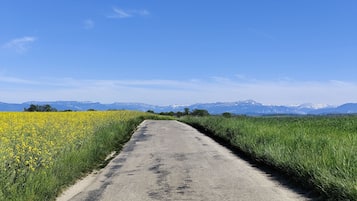 Camí rural vora camps de flors grogues i gespa verda, que condueix cap a muntanyes llunyanes.