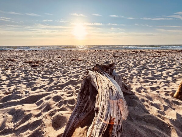 A beach with a large driftwood piece in the foreground and the ocean in the background.