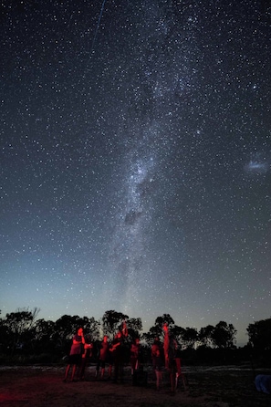 A night sky with stars and the Milky Way visible above a group of silhouetted figures.