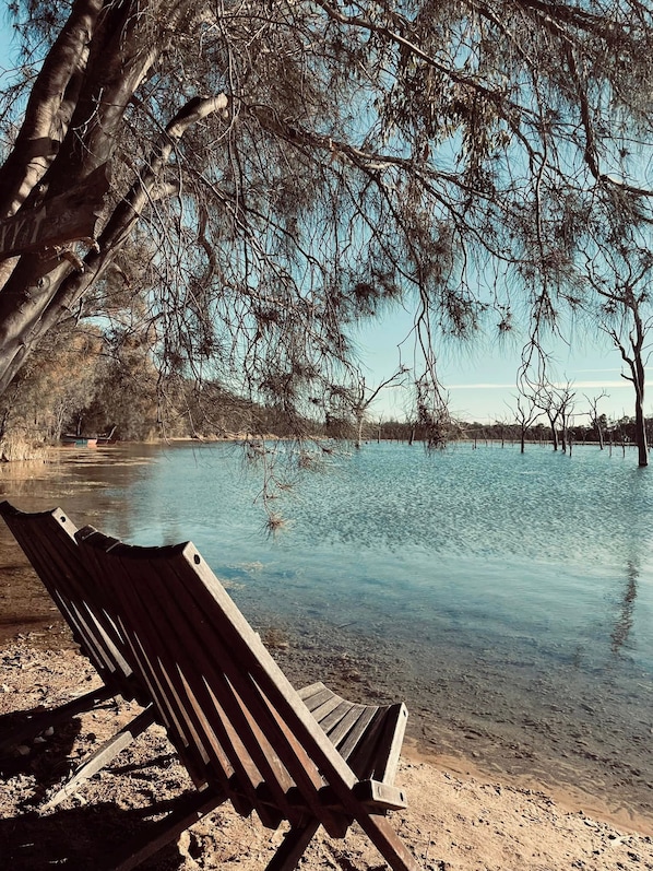 A wooden bench by a calm body of water with trees overhead.