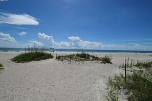 Ein sandiger Strand mit spärlicher Vegetation und blauem Himmel.