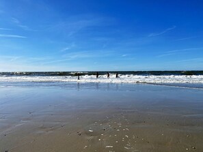 En strand med folk som promenerar längs strandkanten, en klar himmel och vågor som rullar in mot stranden.