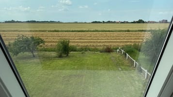A view through a window with a clear sky and a field in the distance.