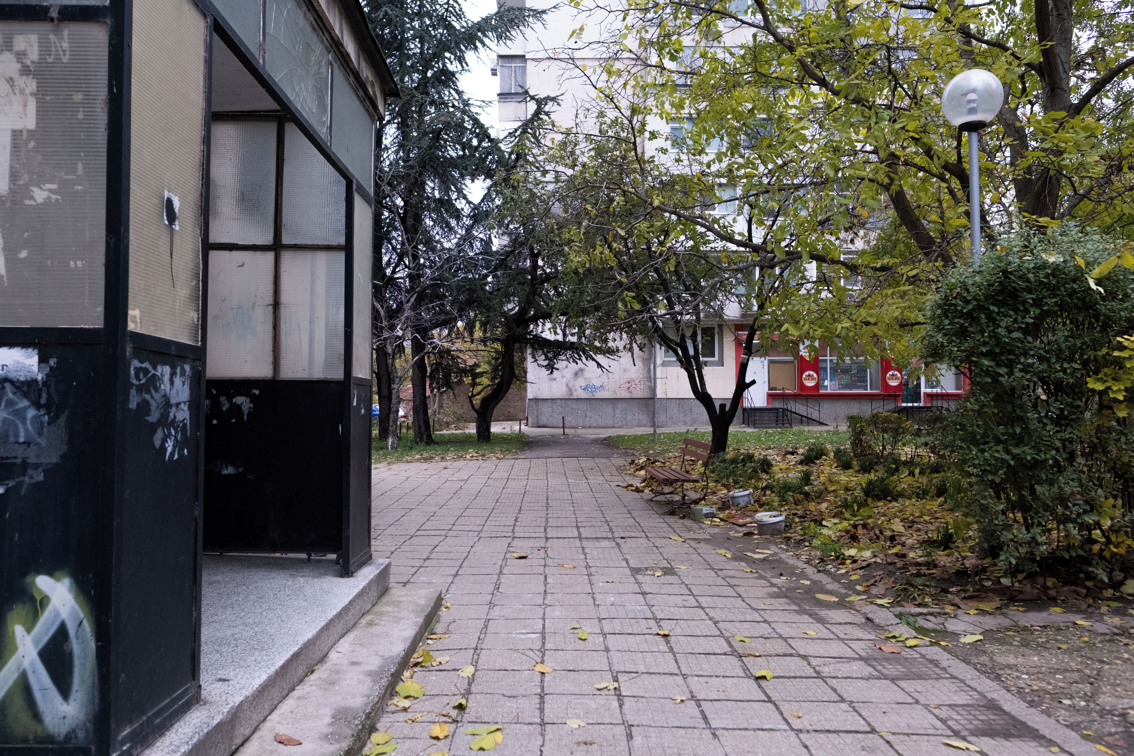 Uma trilha pavimentada com um banco, árvores e um edifício com fachada de vidro.