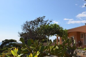 A building with a curved roof and a garden with cacti and shrubs. - directly at the stand (Solenzara)