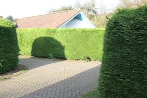 A paved pathway leading to a building with a blue roof and white walls, surrounded by neatly trimmed hedges. - in the Zeebungalows holiday park (formerum)