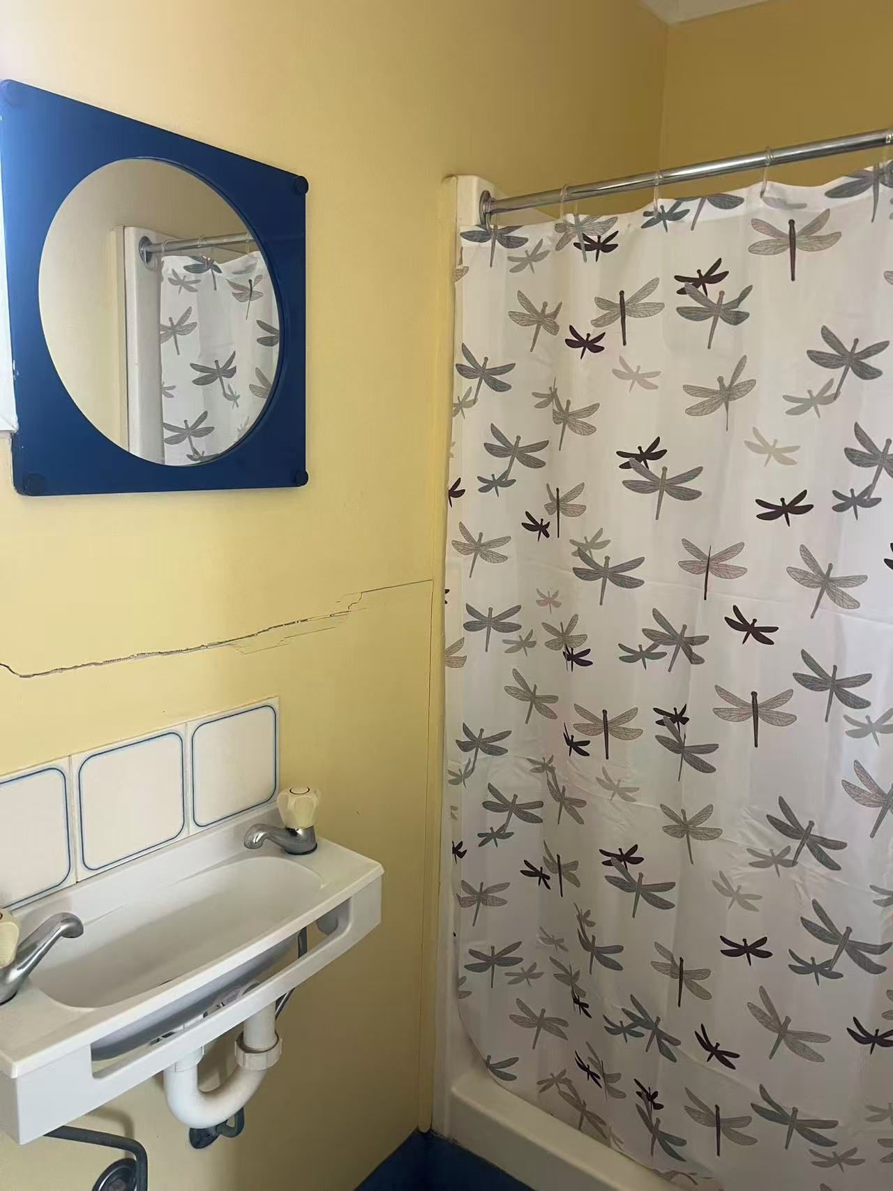Ein Badezimmer mit einem weißen Waschbecken, einem Spiegel mit blauem Rahmen und einem Duschvorhang mit Libellenmuster.