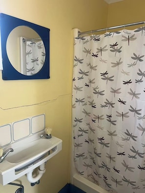 Een badkamer met een witte wastafel, een spiegel met een blauwe lijst, en een douchegordijn met een libellenmotief.