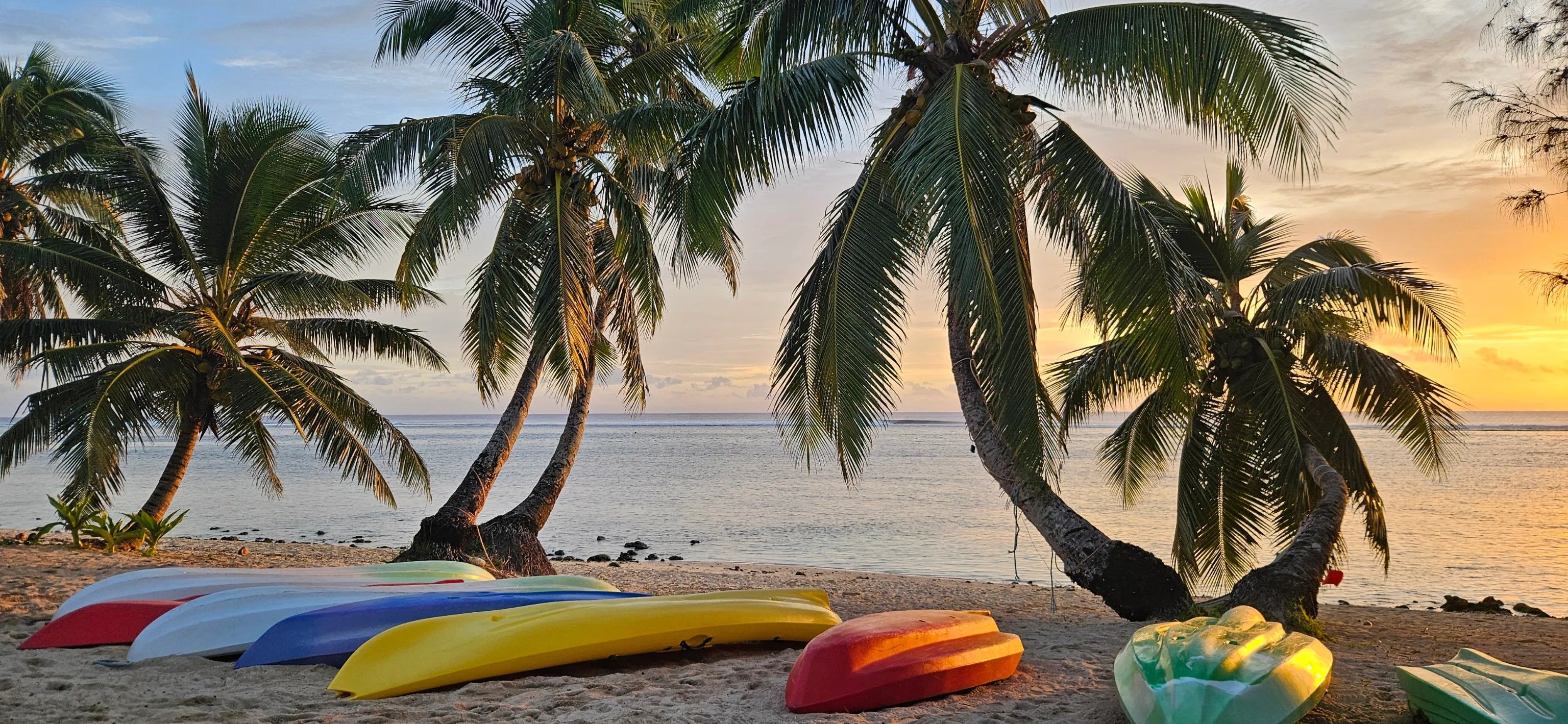 A beach with palm trees and kayaks.