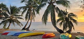 Ein Strand mit Palmen und Kajaks.