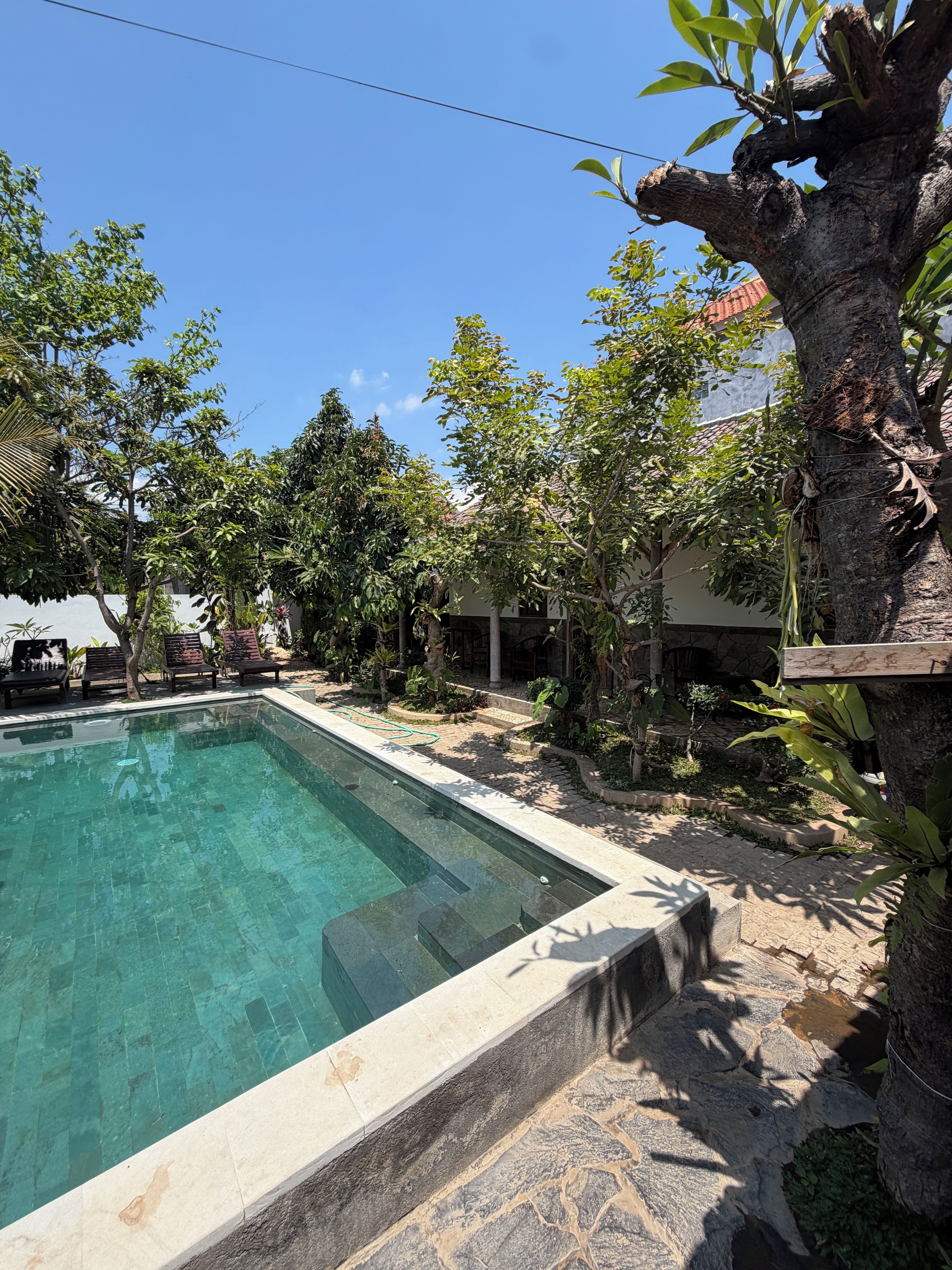 A swimming pool with a stone border, surrounded by trees and a house in the background.