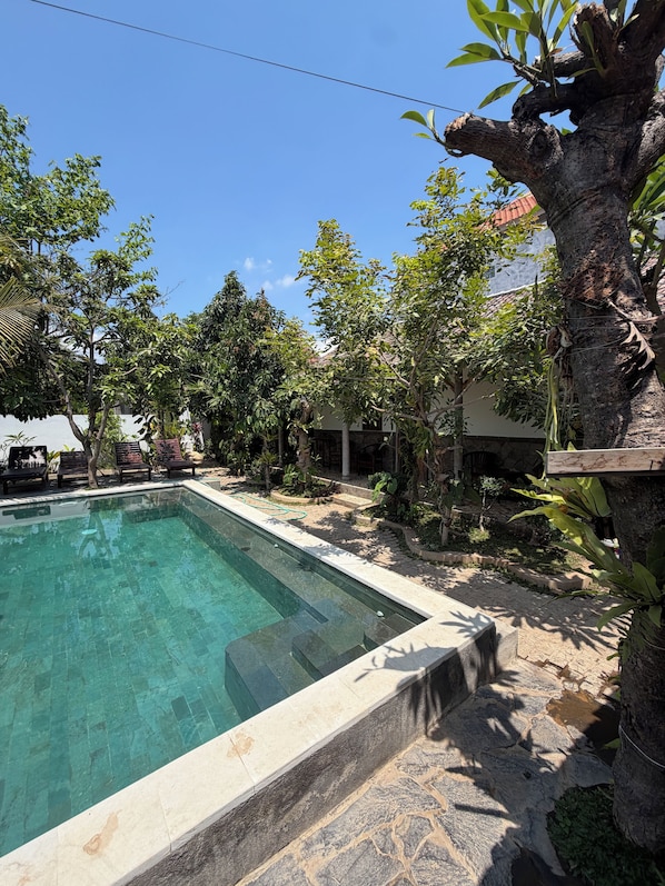 Hồ bơi