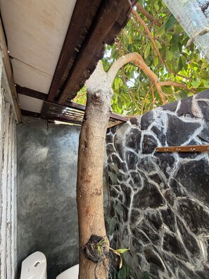 A stone wall with a wooden beam structure above, a tree trunk, and a white object resembling a toilet.