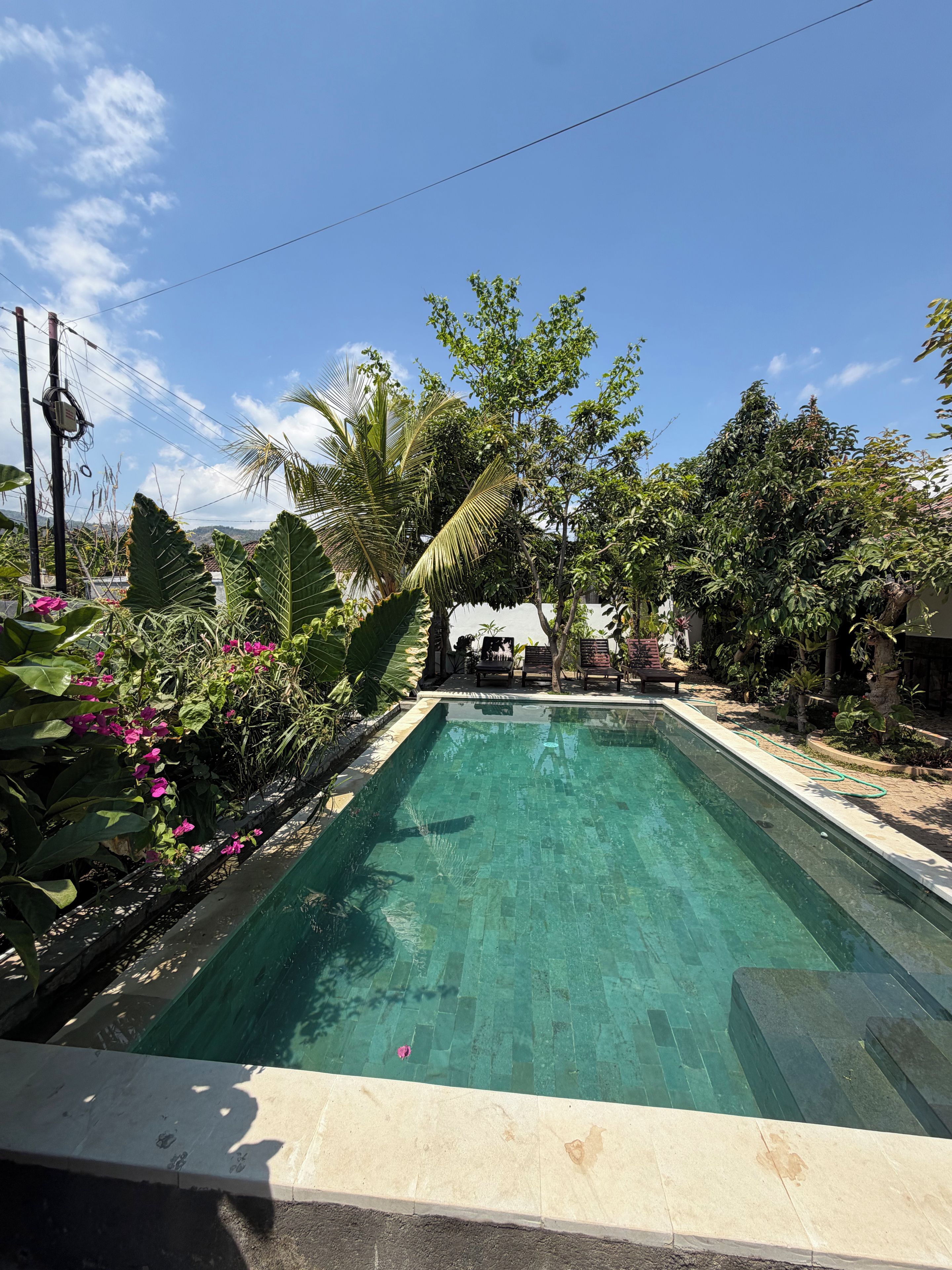 A rectangular swimming pool with a tiled edge, surrounded by lush greenery and a clear blue sky.