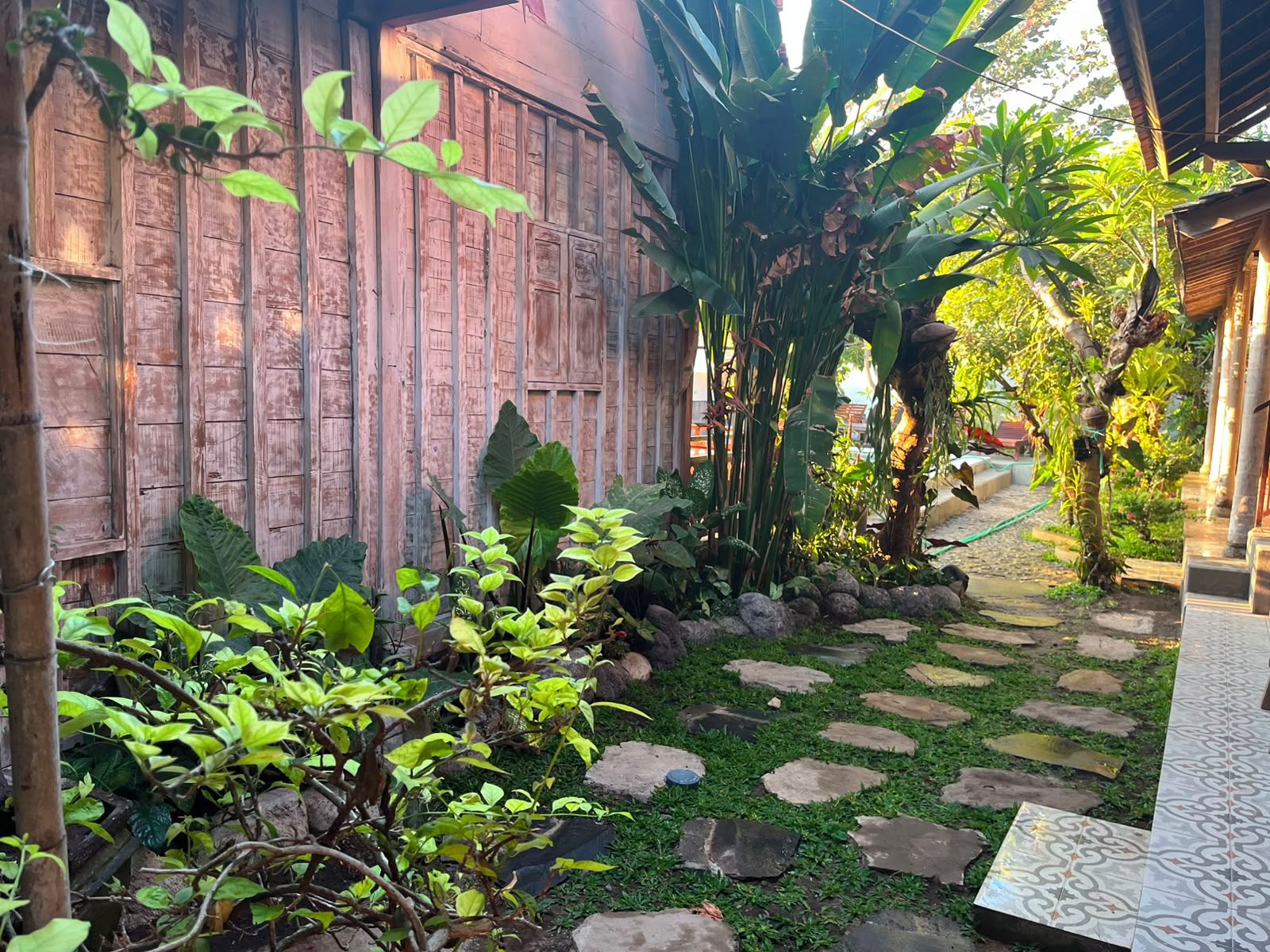 Un jardín con cerca de madera, plantas tropicales y un sendero de piedra.