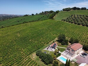 Ein Weinberg mit Rebenzeilen, ein Gebäude mit rotem Dach und ein Schwimmbecken.