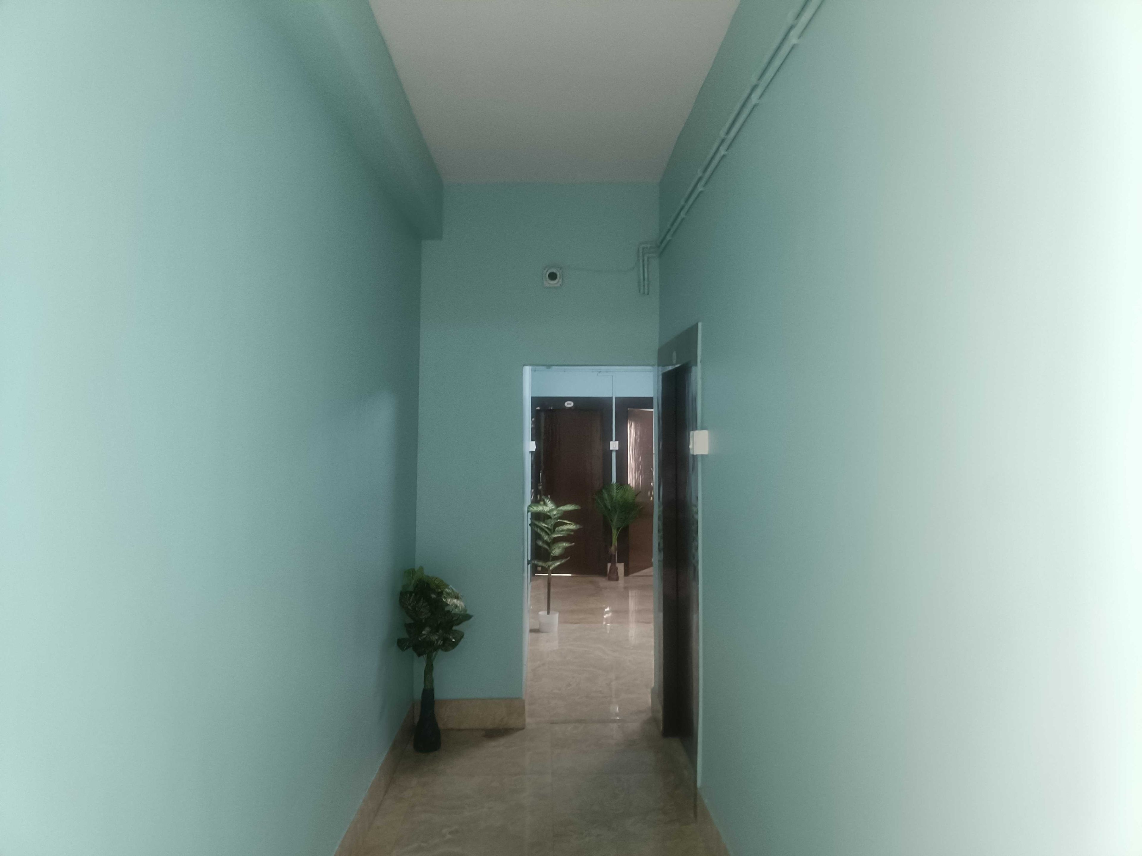 Un pasillo con paredes azul claro, una planta en maceta y una puerta que da a otra habitación.