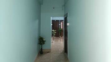 Un pasillo con paredes azul claro, una planta en maceta y una puerta que da a otra habitación.