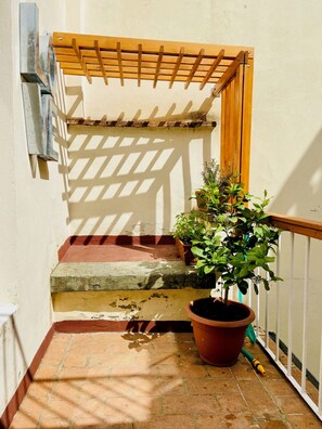 Property grounds - New Listing (Firenze)