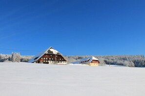 A snow-covered landscape with a wooden lodge and a smaller building, both with pitched roofs, surrounded by snow-laden trees. - Holiday apartment with 2 bedrooms (Titisee-Neustadt)