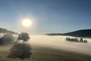 A landscape with a single tree in the foreground, a misty hill in the background, and a clear sky. - Holiday apartment with 2 bedrooms (Titisee-Neustadt)