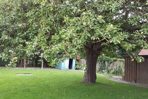 A tree in a yard with a shed and a fence in the background. - Holiday apartment with 1 bedroom (Norden)