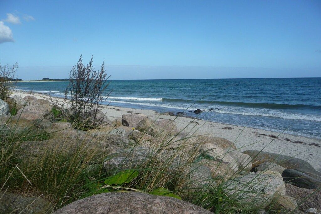 A beach with rocks and vegetation in the foreground, and a clear view of the ocean.